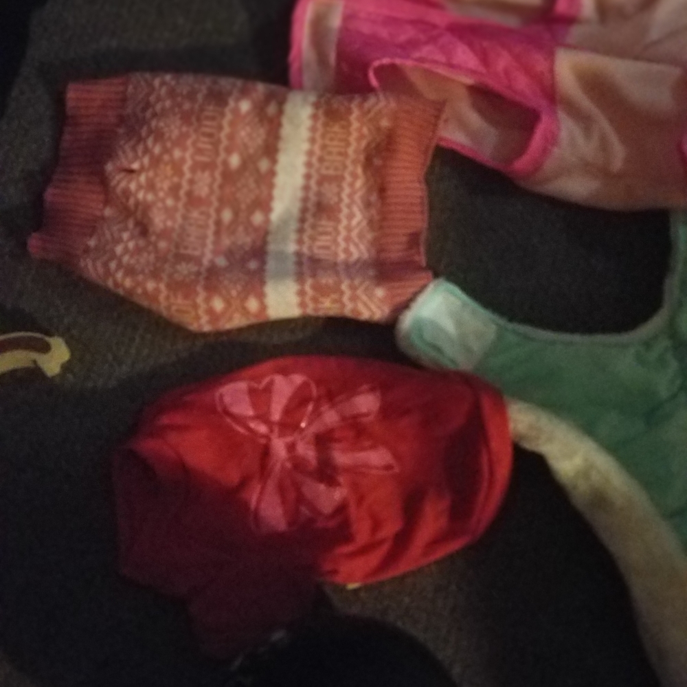 Dog clothes - Picture 8 of 8
